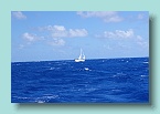 Hokulea to Palmerston_03